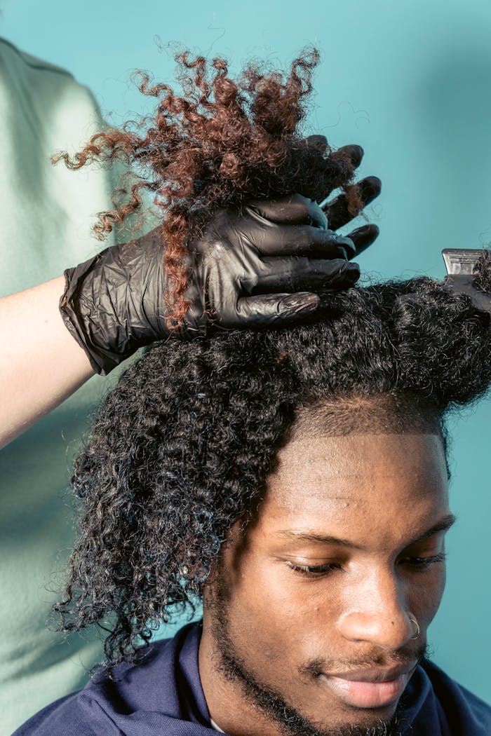 About Professional hairdresser styles black man's natural curly hair with care.